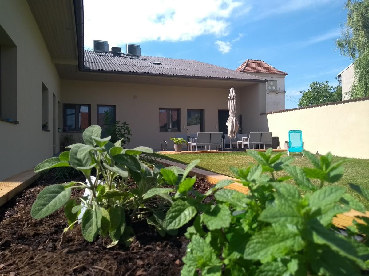 Sabines Apartments Ferienwohnungen Frauenkirchen Bagian luar foto